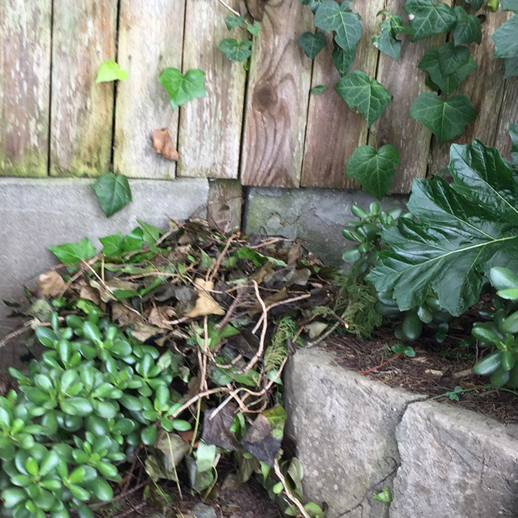 Bumble bee flower pot installation